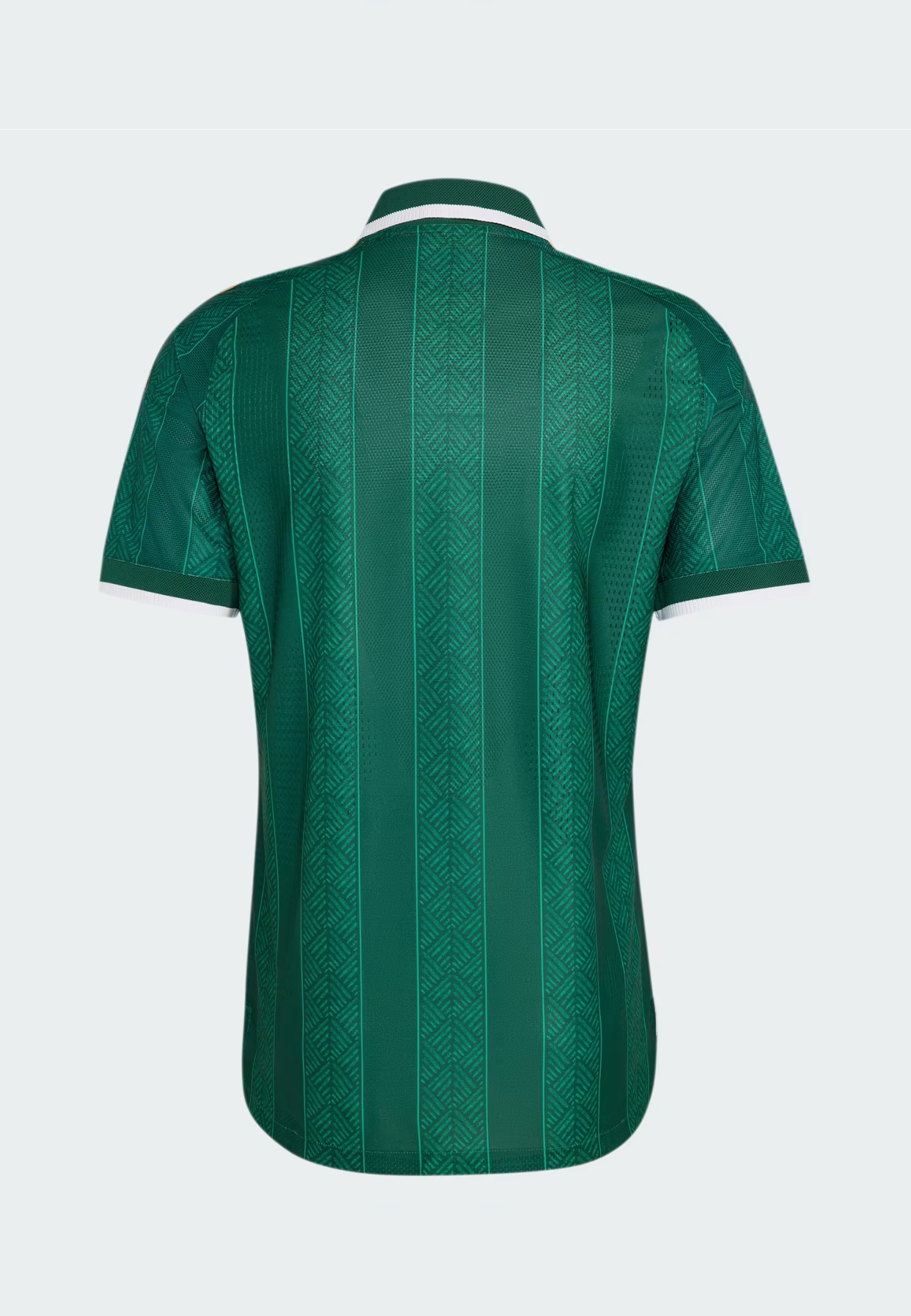 SOUTH AFRICA 2026/27 AWAY - Football Jersey
